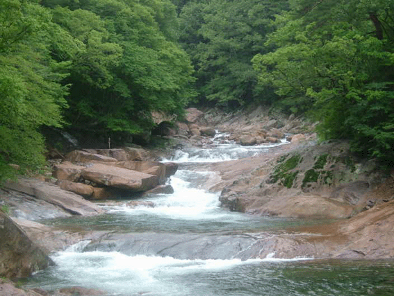 충남지방회14 copy.gif